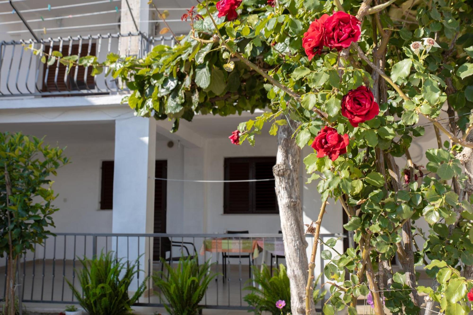 Apartments Latkovic زاووستروج المظهر الخارجي الصورة