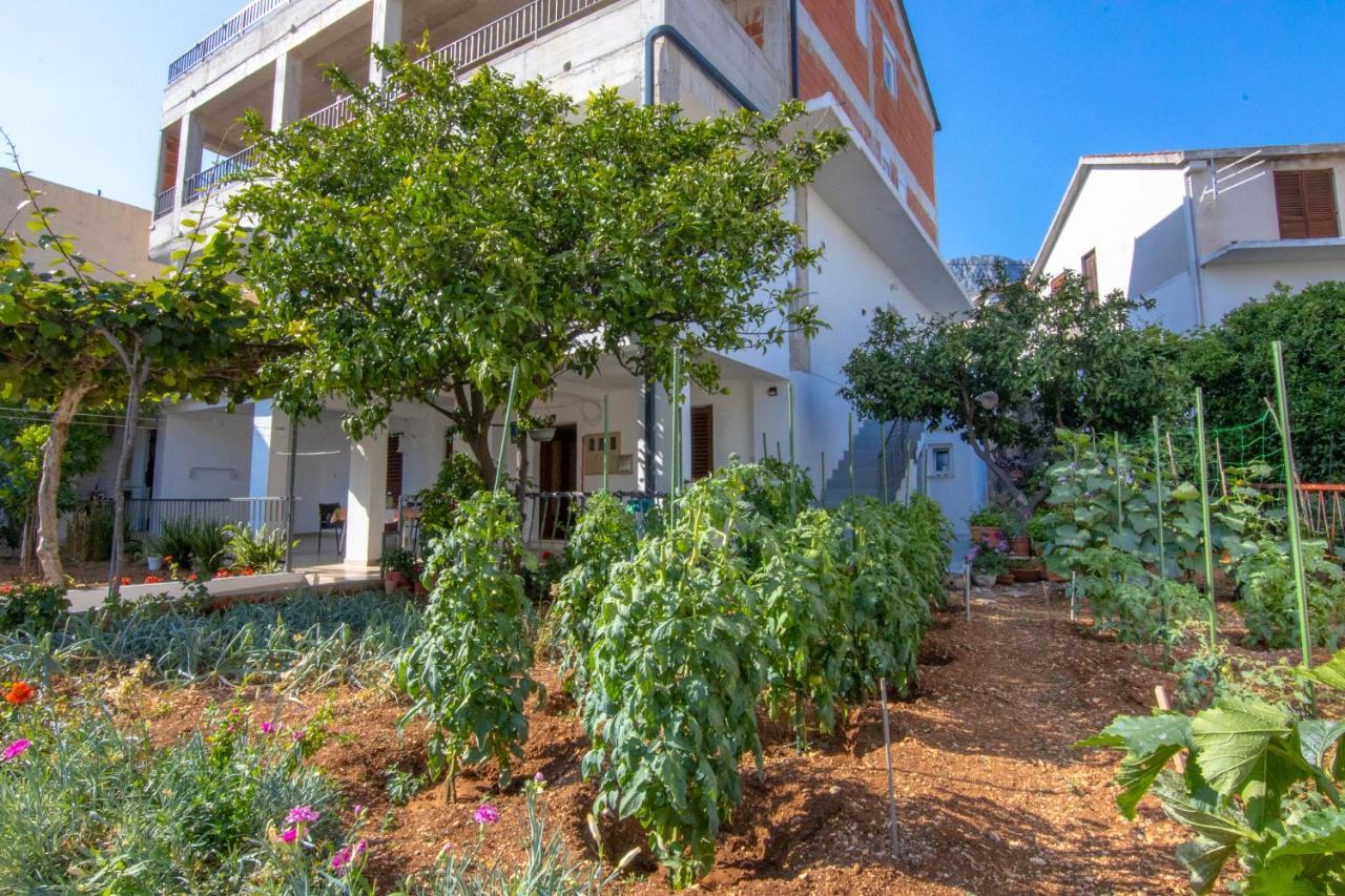 Apartments Latkovic زاووستروج المظهر الخارجي الصورة
